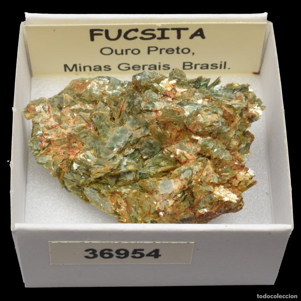Coleccionismo de minerales: FUCSITA (Ouro Preto, Minas Gerais, Brasil) #36954