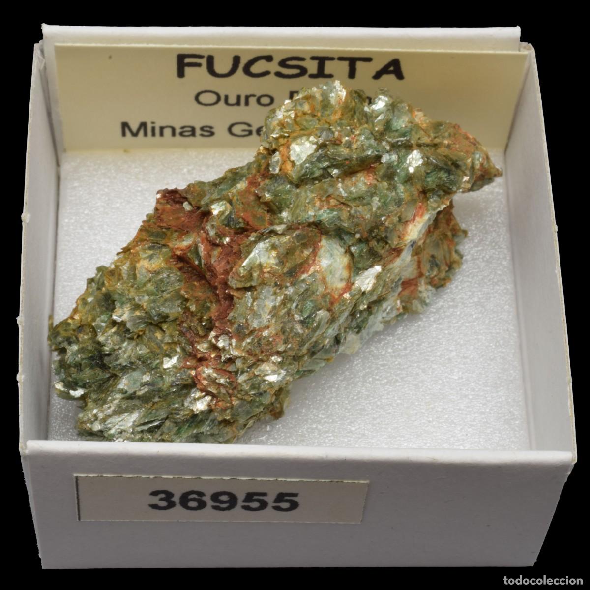 Coleccionismo de minerales: FUCSITA (Ouro Preto, Minas Gerais, Brasil) #36955