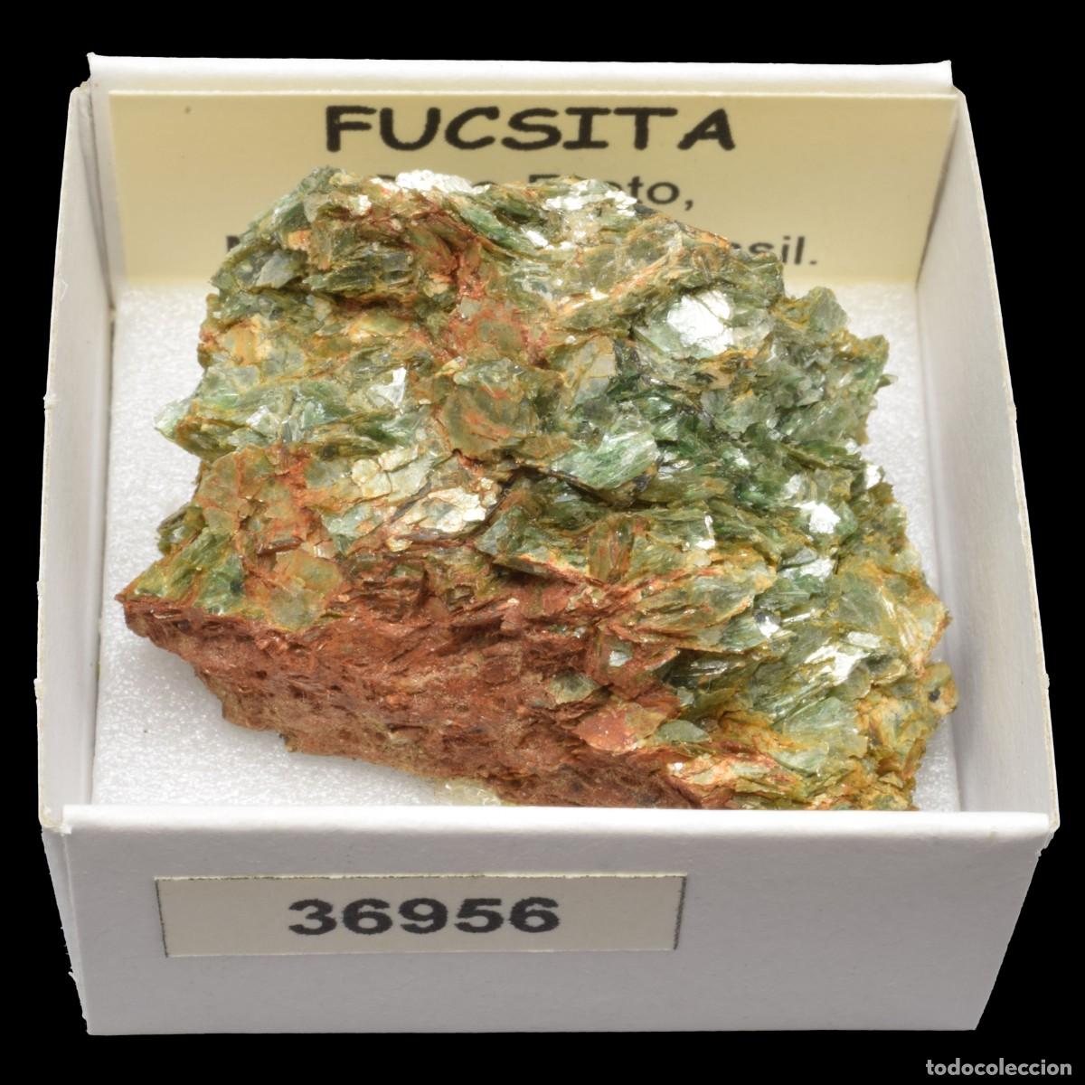 Coleccionismo de minerales: FUCSITA (Ouro Preto, Minas Gerais, Brasil) #36956