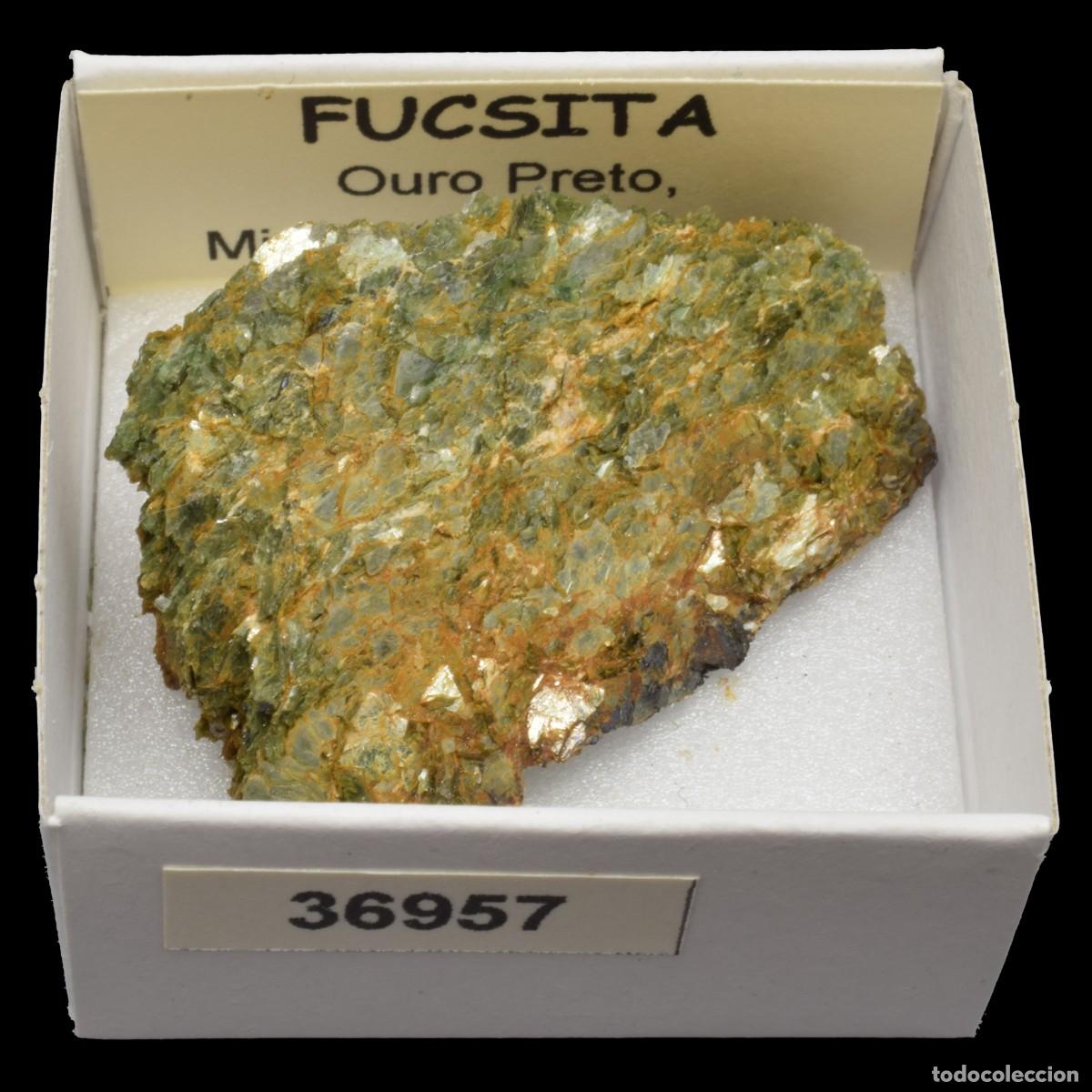 Coleccionismo de minerales: FUCSITA (Ouro Preto, Minas Gerais, Brasil) #36957