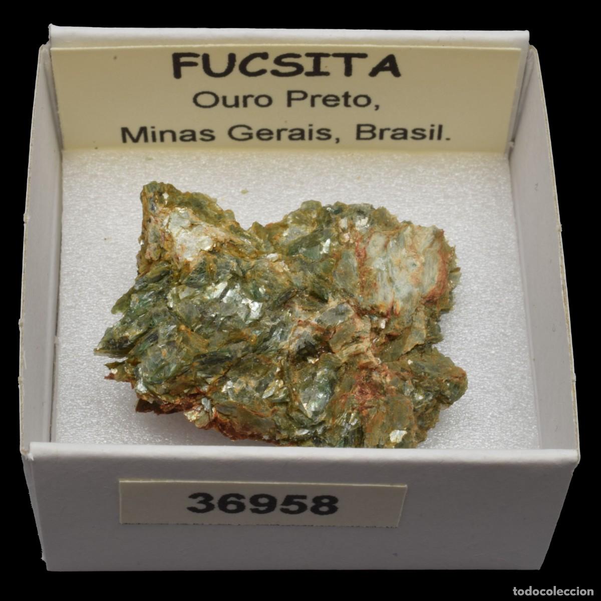 Coleccionismo de minerales: FUCSITA (Ouro Preto, Minas Gerais, Brasil) #36958