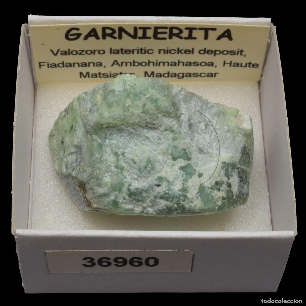 Coleccionismo de minerales: GARNIERITA (Valozoro deposit, Fiadanana,Ambohimahasoa, Haute Matsiatra, Madagascar) #36960