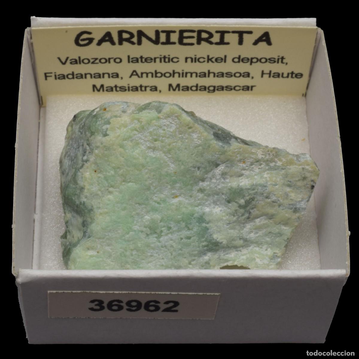 Coleccionismo de minerales: GARNIERITA (Valozoro deposit, Fiadanana,Ambohimahasoa, Haute Matsiatra, Madagascar) #36962