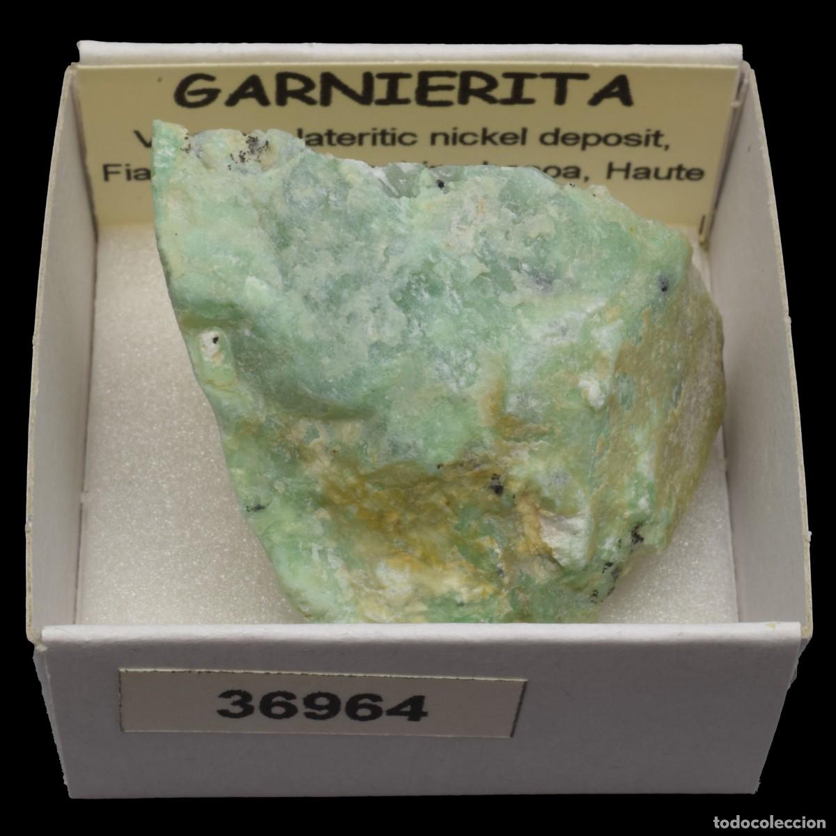 Coleccionismo de minerales: GARNIERITA (Valozoro deposit, Fiadanana,Ambohimahasoa, Haute Matsiatra, Madagascar) #36964