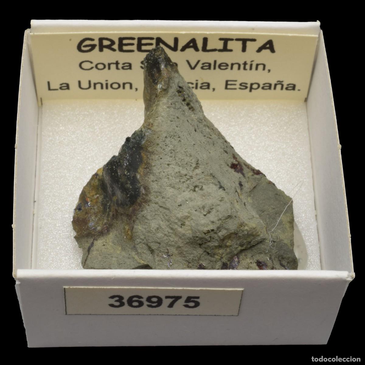 Coleccionismo de minerales: GREENALITA (Corta San Valentin, La Union, Murcia, Espa&ntilde;a) #36975