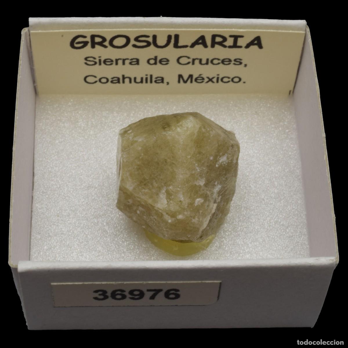 Coleccionismo de minerales: GROSULARIA (Sierra de Cruces, Coahuila, M&eacute;xico) #36976