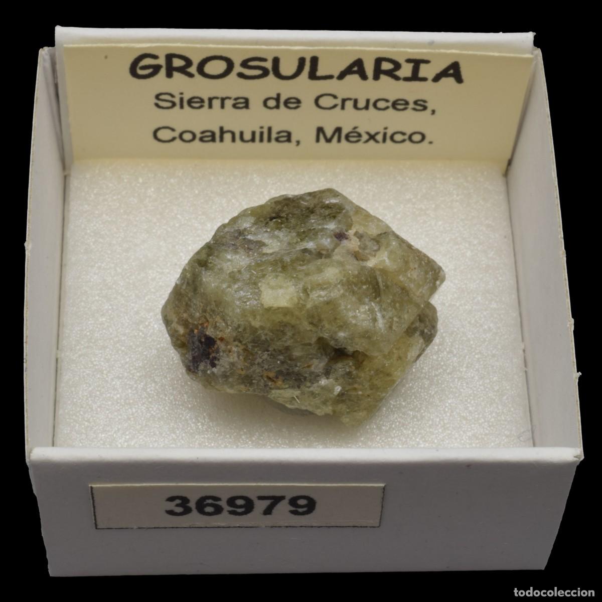 Coleccionismo de minerales: GROSULARIA (Sierra de Cruces, Coahuila, M&eacute;xico) #36979
