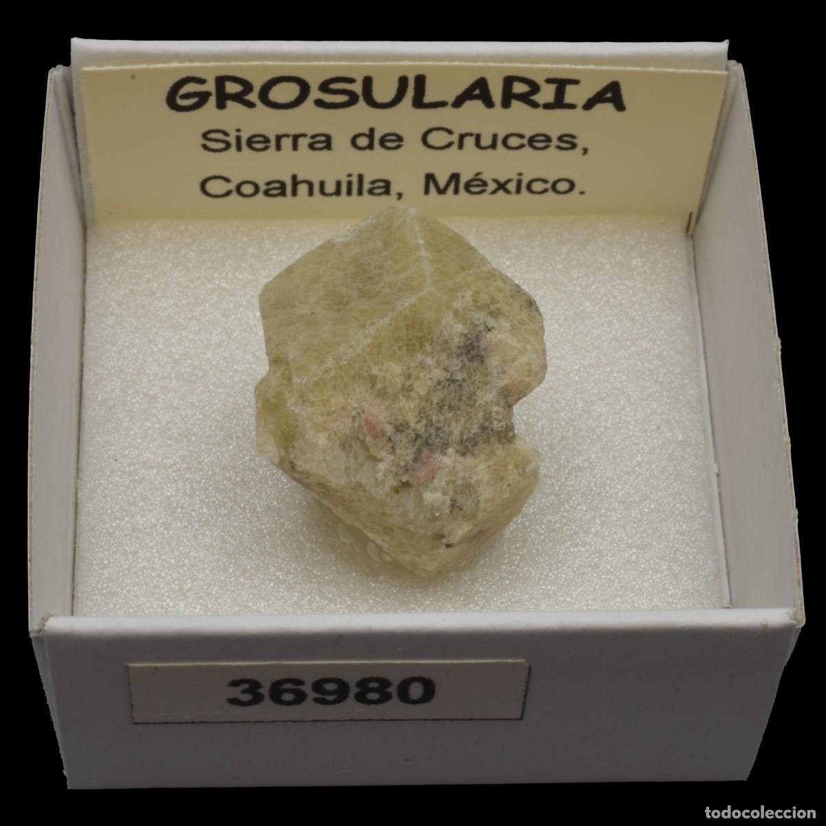 Coleccionismo de minerales: GROSULARIA (Sierra de Cruces, Coahuila, M&eacute;xico) #36980