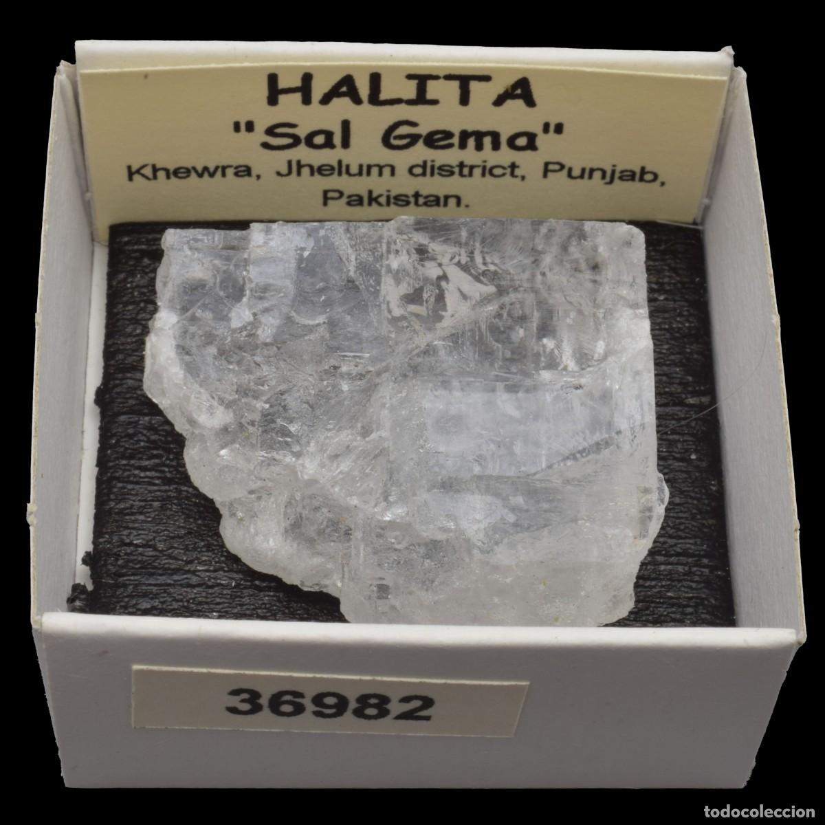 Coleccionismo de minerales: HALITA &rdquo;Sal gema&rdquo; (Khewra, Jhelum district, Punjab, Pakistan) #36982