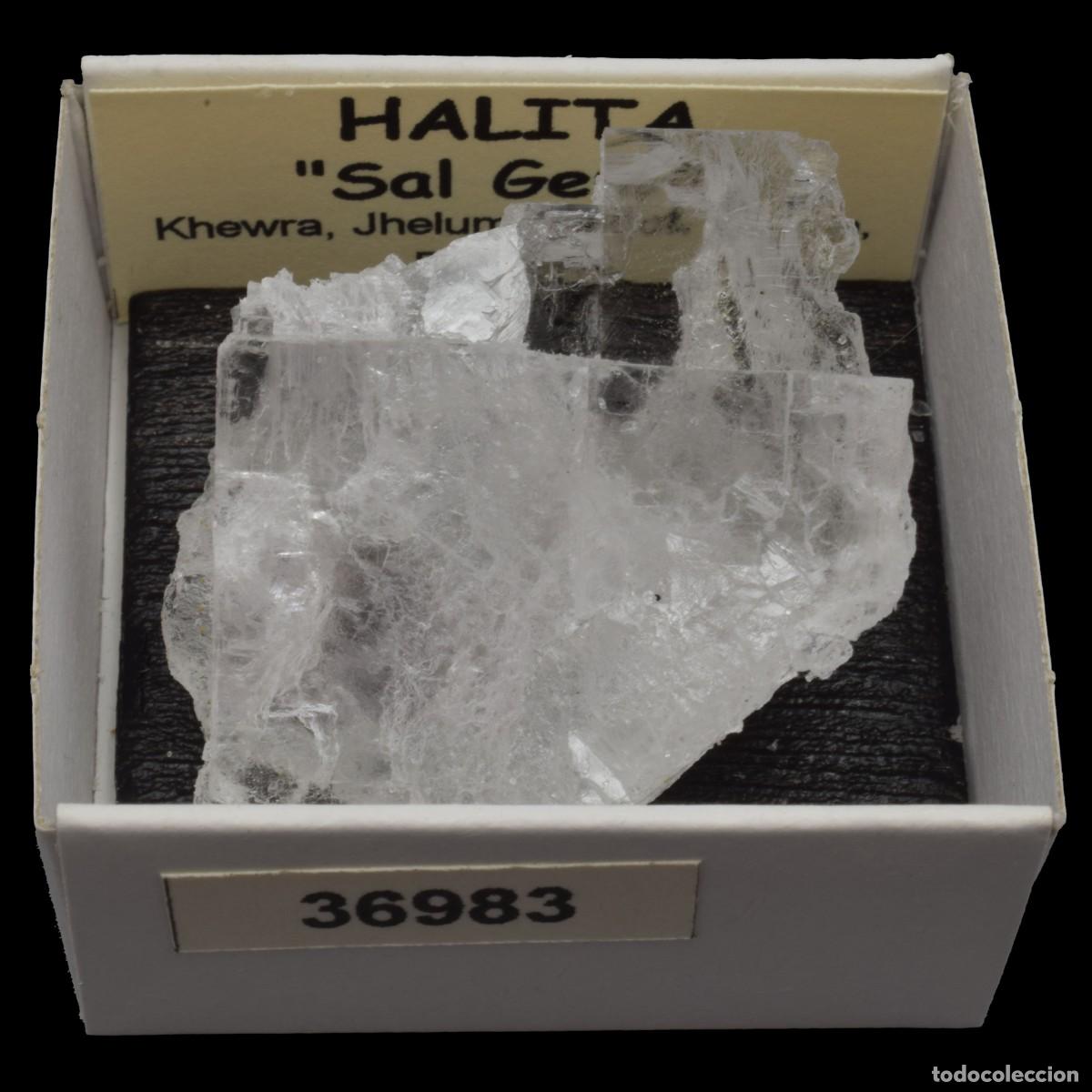 Coleccionismo de minerales: HALITA &rdquo;Sal gema&rdquo; (Khewra, Jhelum district, Punjab, Pakistan) #36983