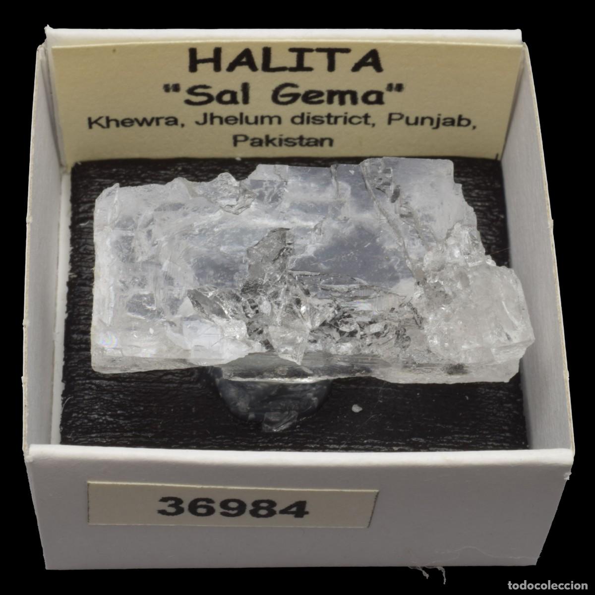 Coleccionismo de minerales: HALITA &rdquo;Sal gema&rdquo; (Khewra, Jhelum district, Punjab, Pakistan) #36984