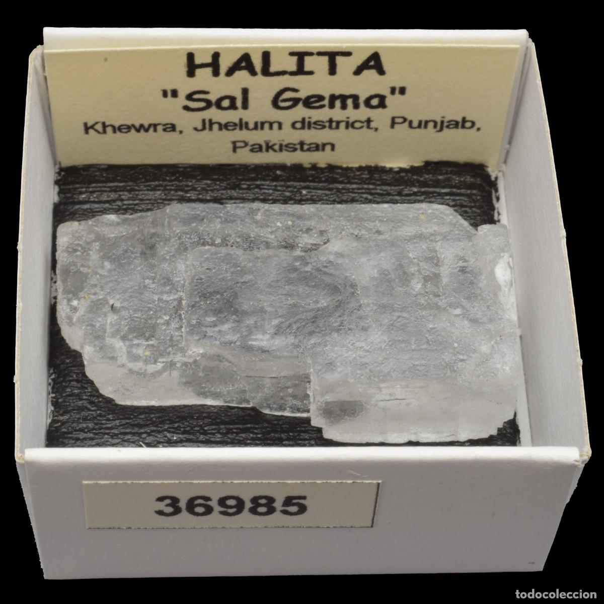 Coleccionismo de minerales: HALITA &rdquo;Sal gema&rdquo; (Khewra, Jhelum district, Punjab, Pakistan) #36985
