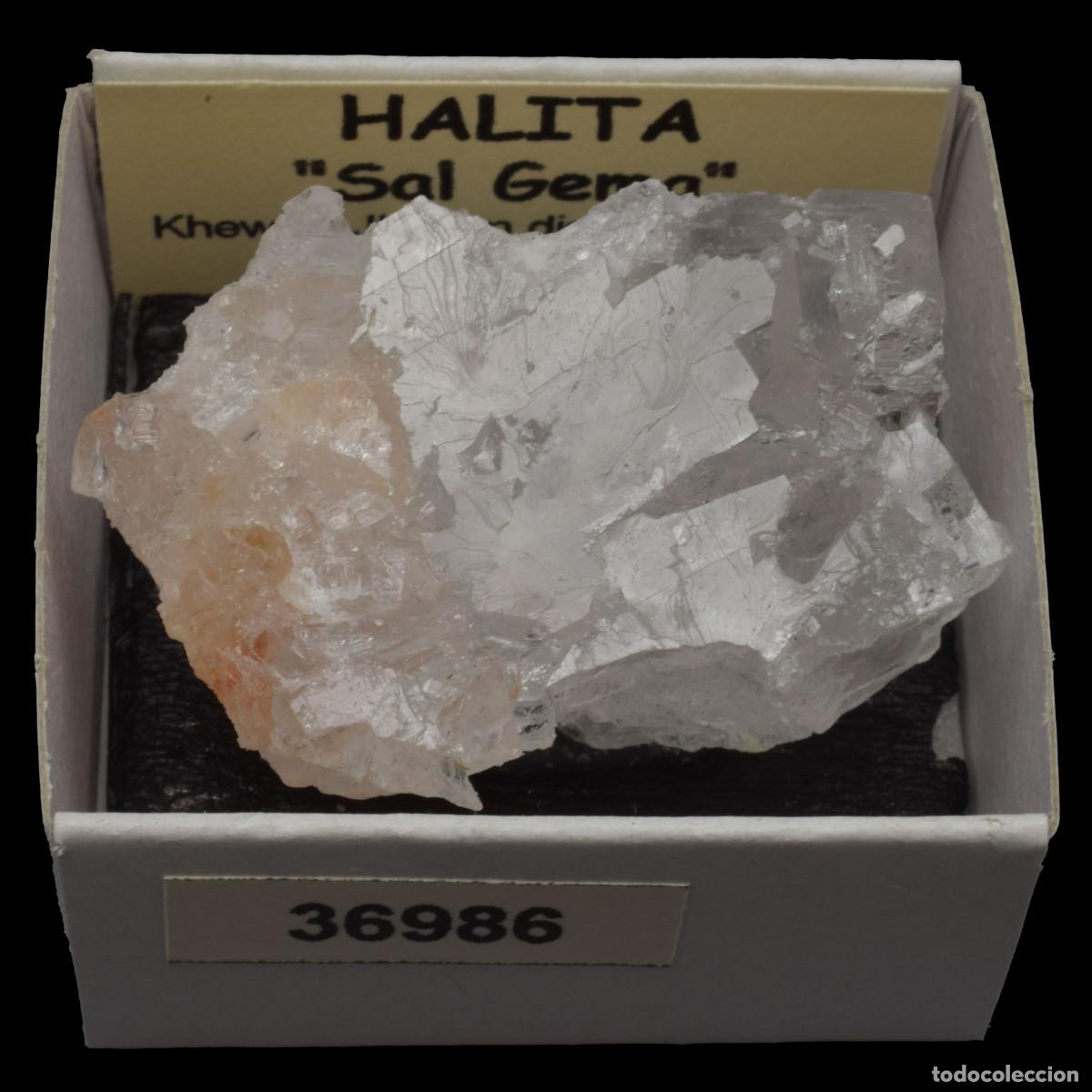 Coleccionismo de minerales: HALITA &rdquo;Sal gema&rdquo; (Khewra, Jhelum district, Punjab, Pakistan) #36986