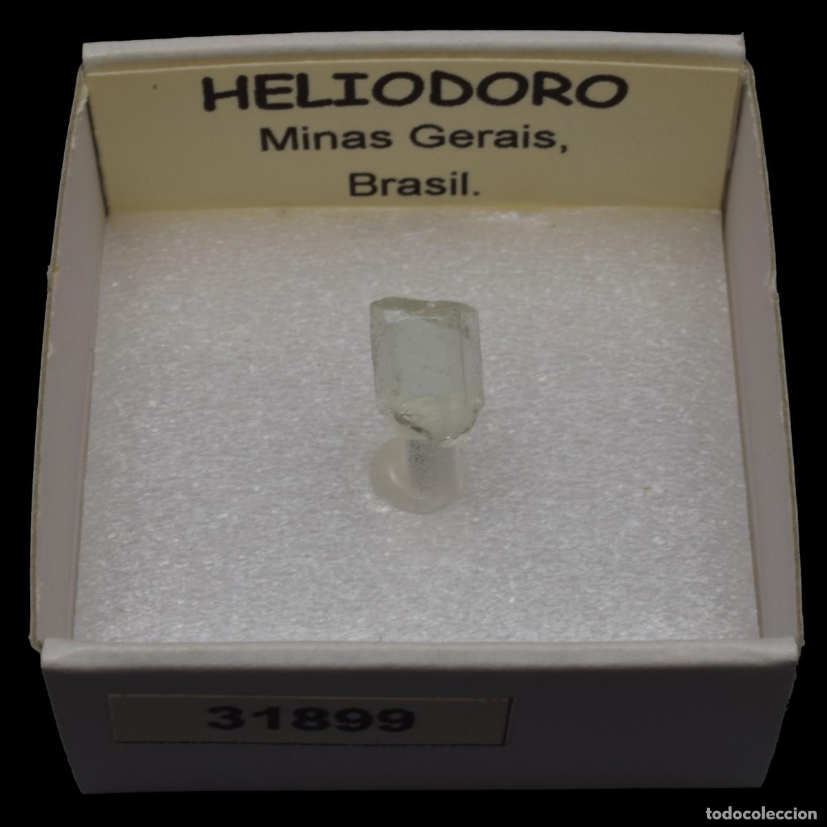 Mineral collecting: HELIODORO (Medina pegmatite field, Minas Gerais, Brasil) #31899