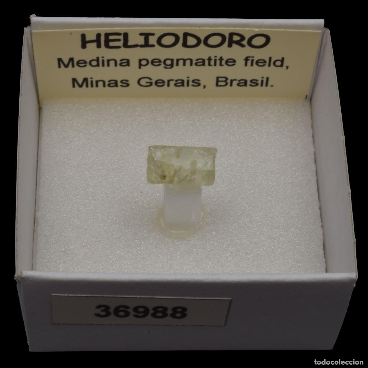 Mineral collecting: HELIODORO (Medina pegmatite field, Minas Gerais, Brasil) #36988