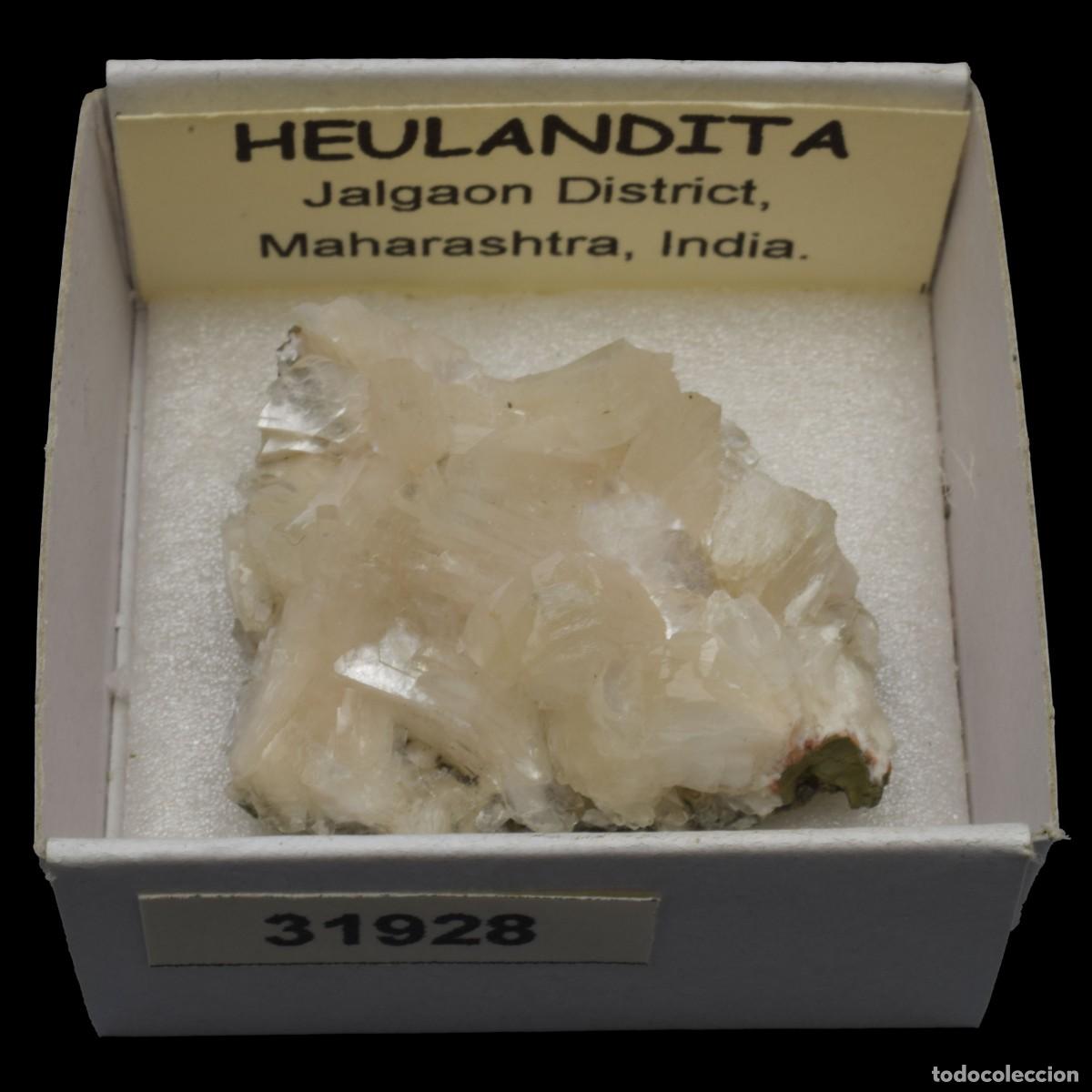 Collectionnisme de min&eacute;raux: HEULANDITA (Jalgaon district, Maharashtra, India) #31928
