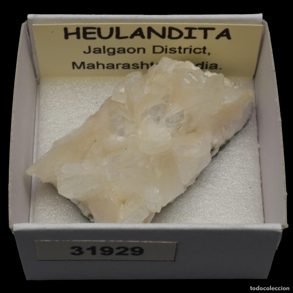 Collectionnisme de min&eacute;raux: HEULANDITA (Jalgaon district, Maharashtra, India) #31929