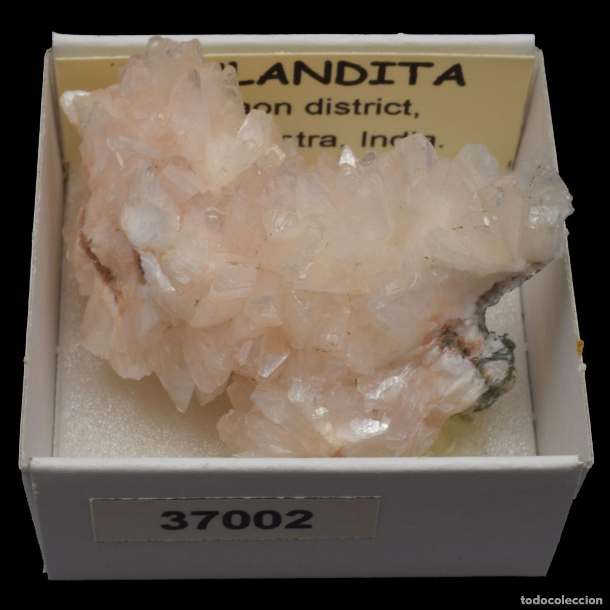 Coleccionismo de minerales: HEULANDITA (Jalgaon district, Maharashtra, India) #37002
