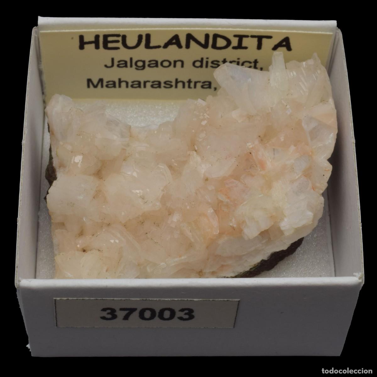 Coleccionismo de minerales: HEULANDITA (Jalgaon district, Maharashtra, India) #37003