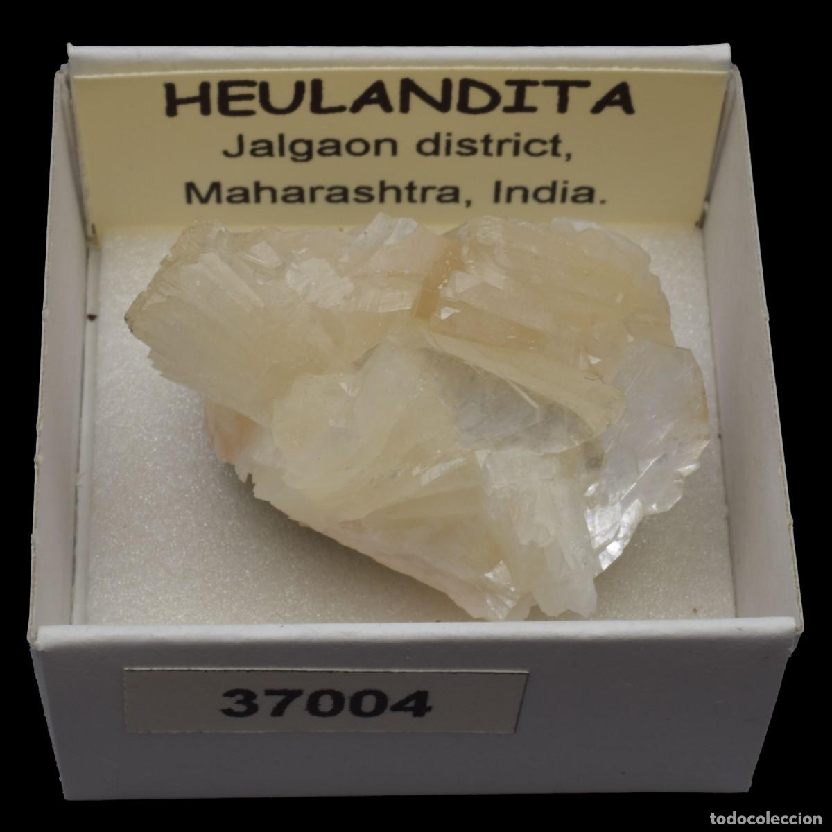 Coleccionismo de minerales: HEULANDITA (Jalgaon district, Maharashtra, India) #37004