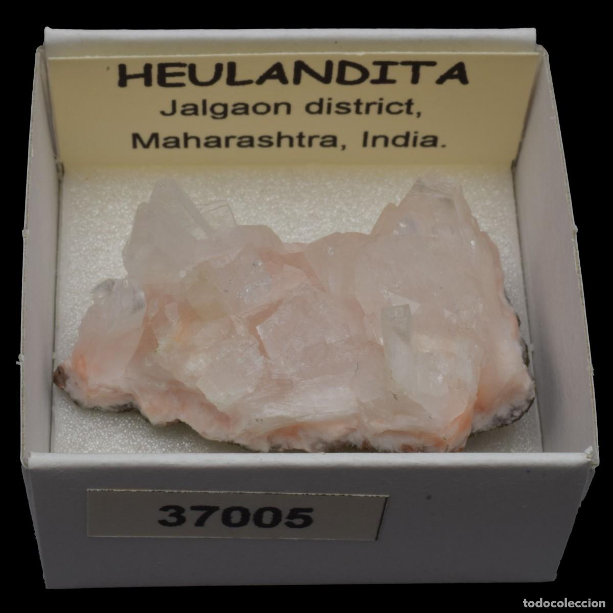 Coleccionismo de minerales: HEULANDITA (Jalgaon district, Maharashtra, India) #37005