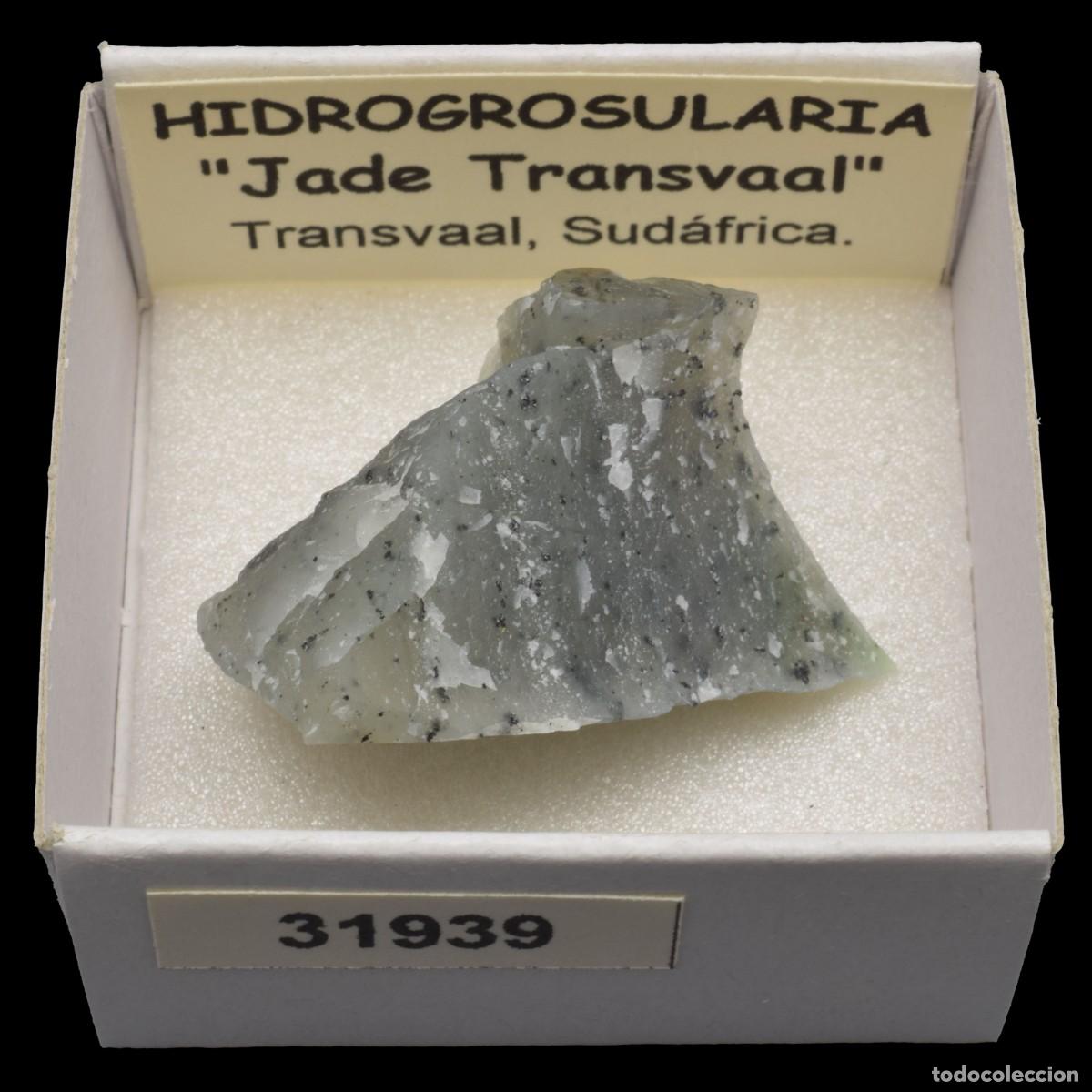 Coleccionismo de minerales: HIDROGROSULARIA &rdquo;Jade Transvaal&rdquo; (Transvaal, Sudafrica) #31939