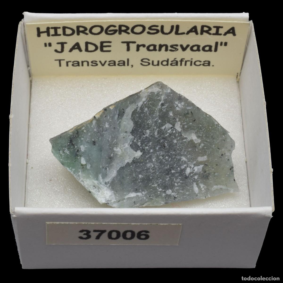 Coleccionismo de minerales: HIDROGROSULARIA &rdquo;Jade Transvaal&rdquo; (Transvaal, Sudafrica) #37006