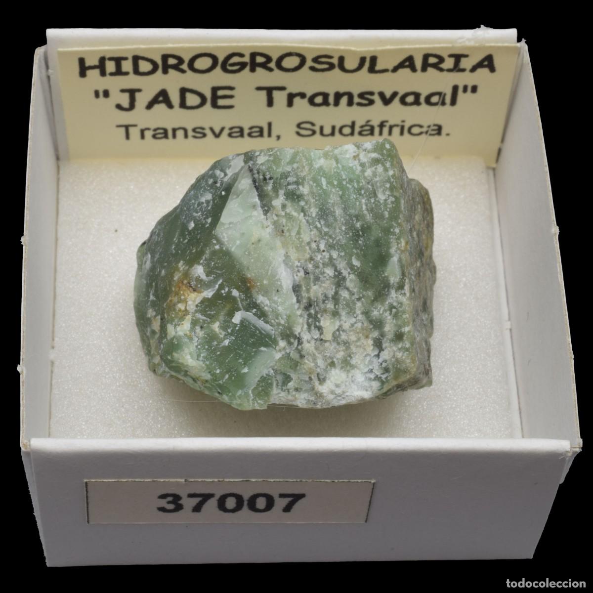 Coleccionismo de minerales: HIDROGROSULARIA &rdquo;Jade Transvaal&rdquo; (Transvaal, Sudafrica) #37007