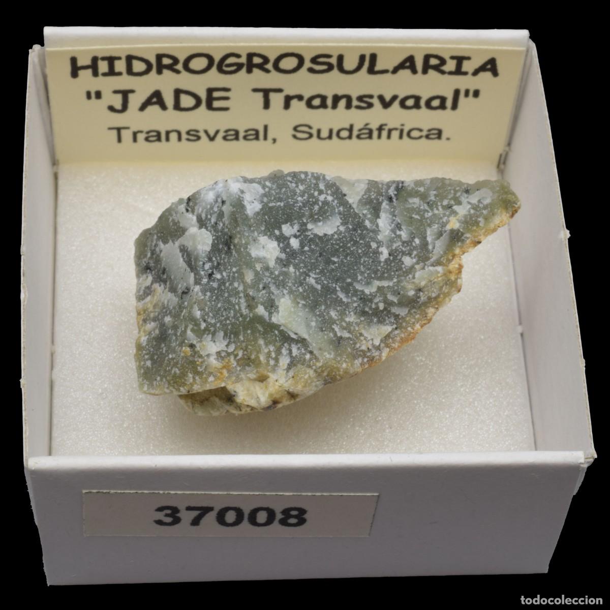 Coleccionismo de minerales: HIDROGROSULARIA &rdquo;Jade Transvaal&rdquo; (Transvaal, Sudafrica) #37008