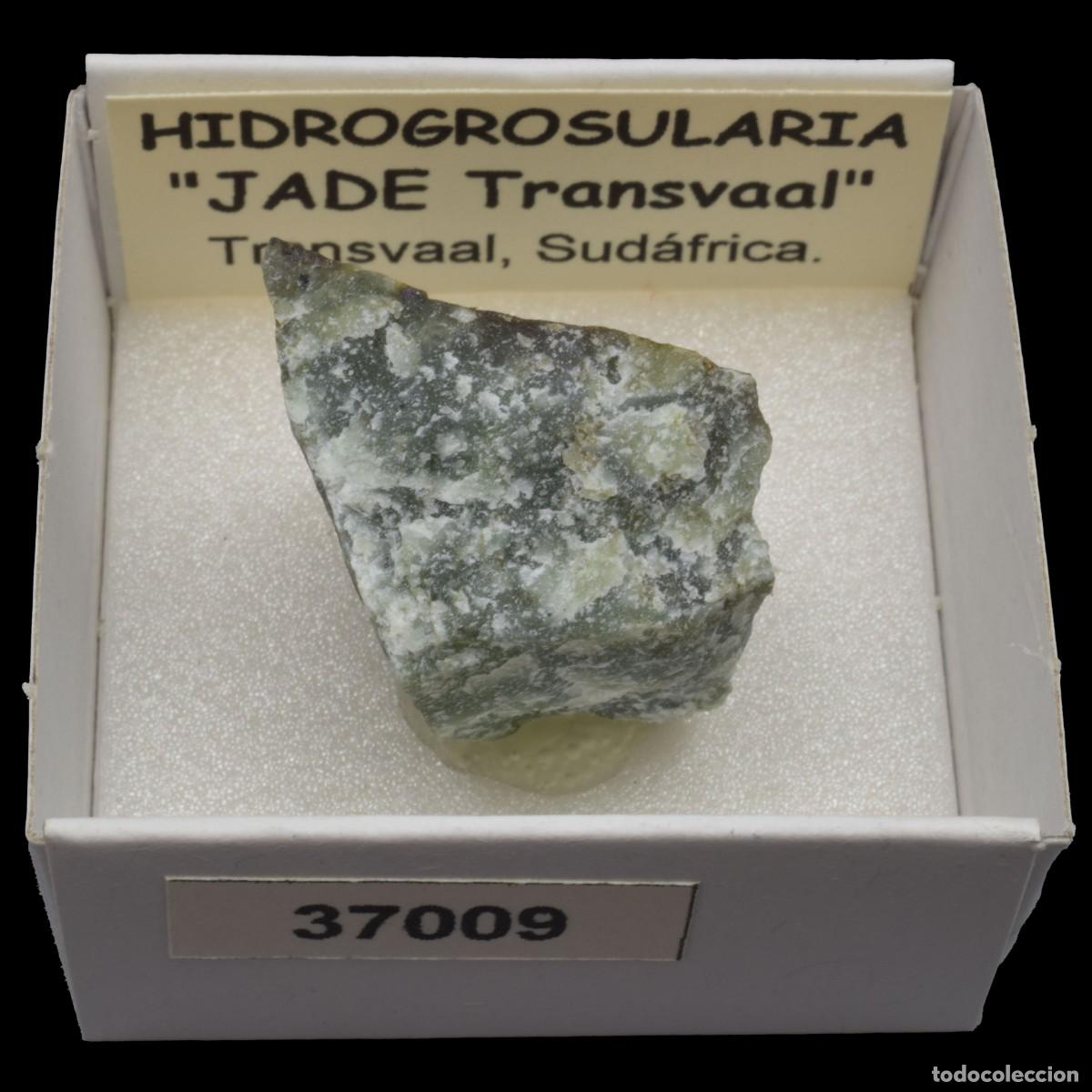 Coleccionismo de minerales: HIDROGROSULARIA &rdquo;Jade Transvaal&rdquo; (Transvaal, Sudafrica) #37009