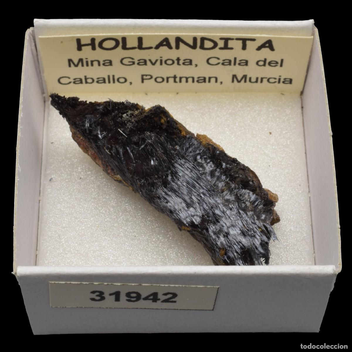 Coleccionismo de minerales: HOLLANDITA (Mina Gaviota, Cala del Caballo, Portman, Murcia) #31942