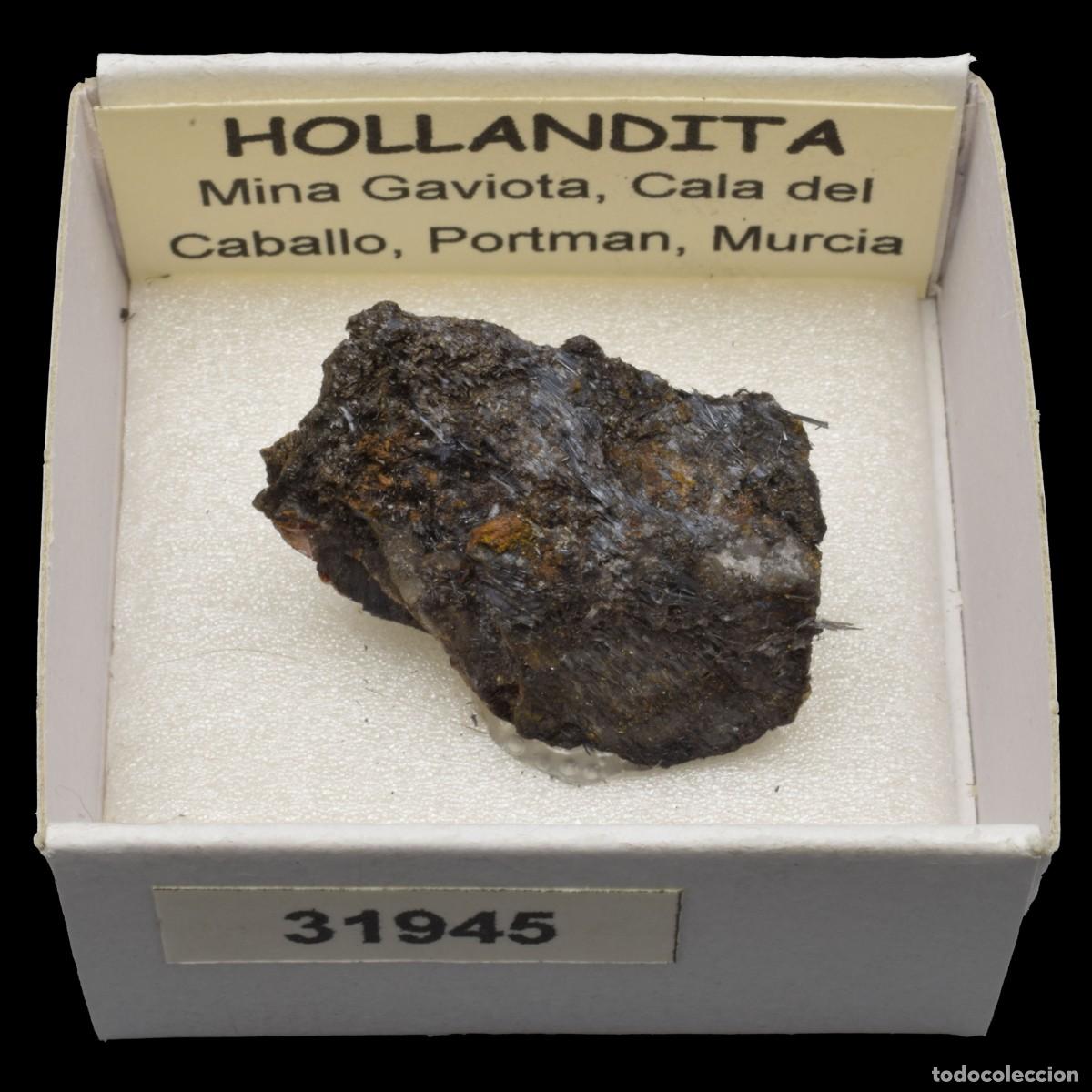 Coleccionismo de minerales: HOLLANDITA (Mina Gaviota, Cala del Caballo, Portman, Murcia) #31945