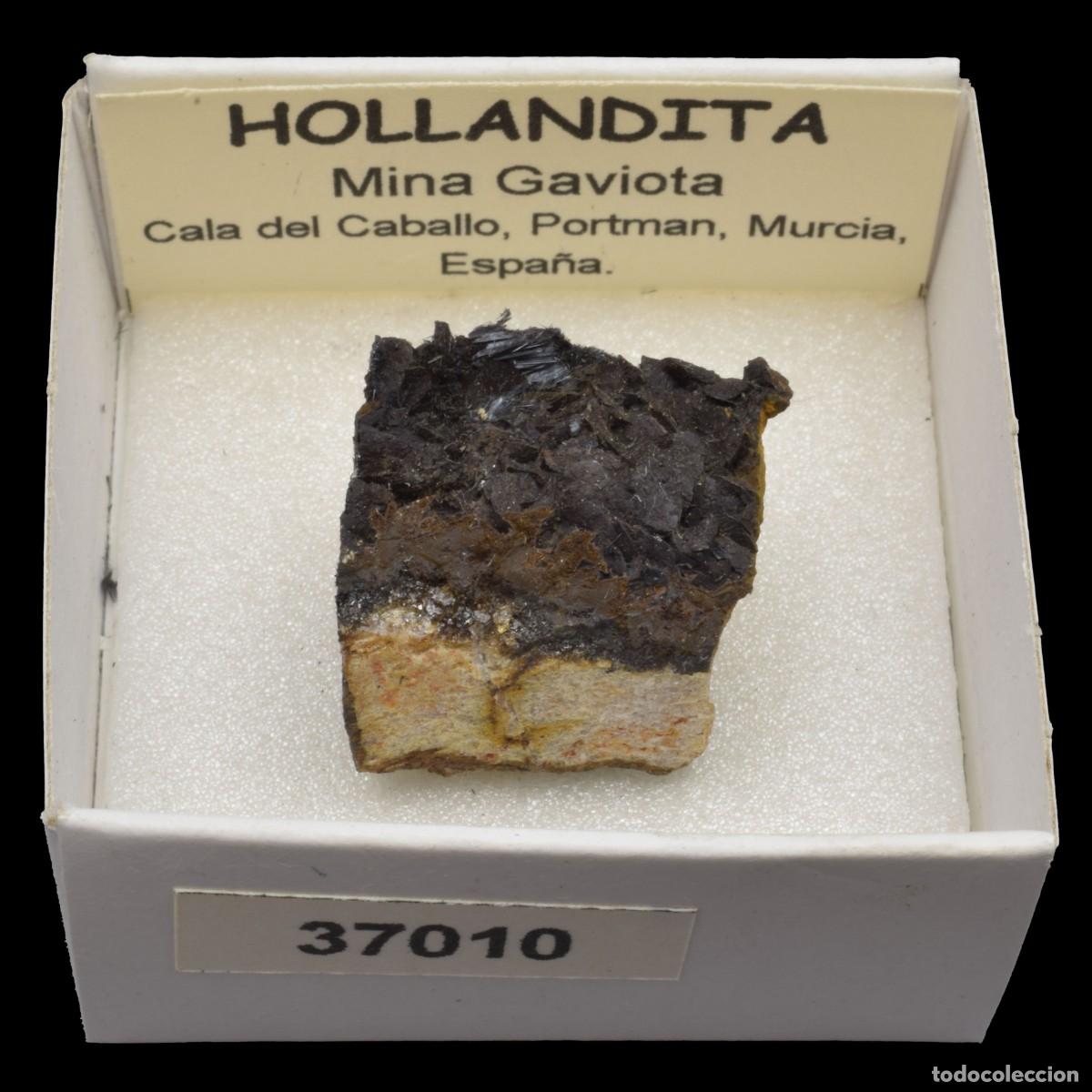 Coleccionismo de minerales: HOLLANDITA (Mina Gaviota, Cala del Caballo, Portman, Murcia) #37010