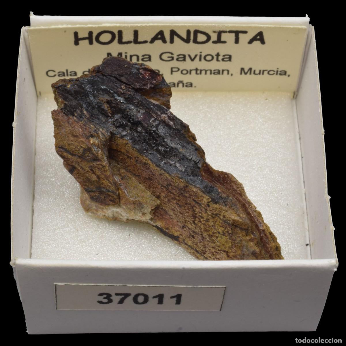 Coleccionismo de minerales: HOLLANDITA (Mina Gaviota, Cala del Caballo, Portman, Murcia) #37011