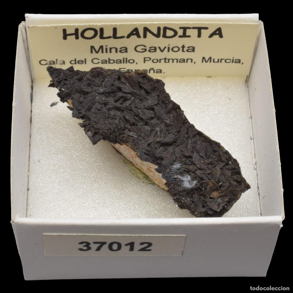 Coleccionismo de minerales: HOLLANDITA (Mina Gaviota, Cala del Caballo, Portman, Murcia) #37012