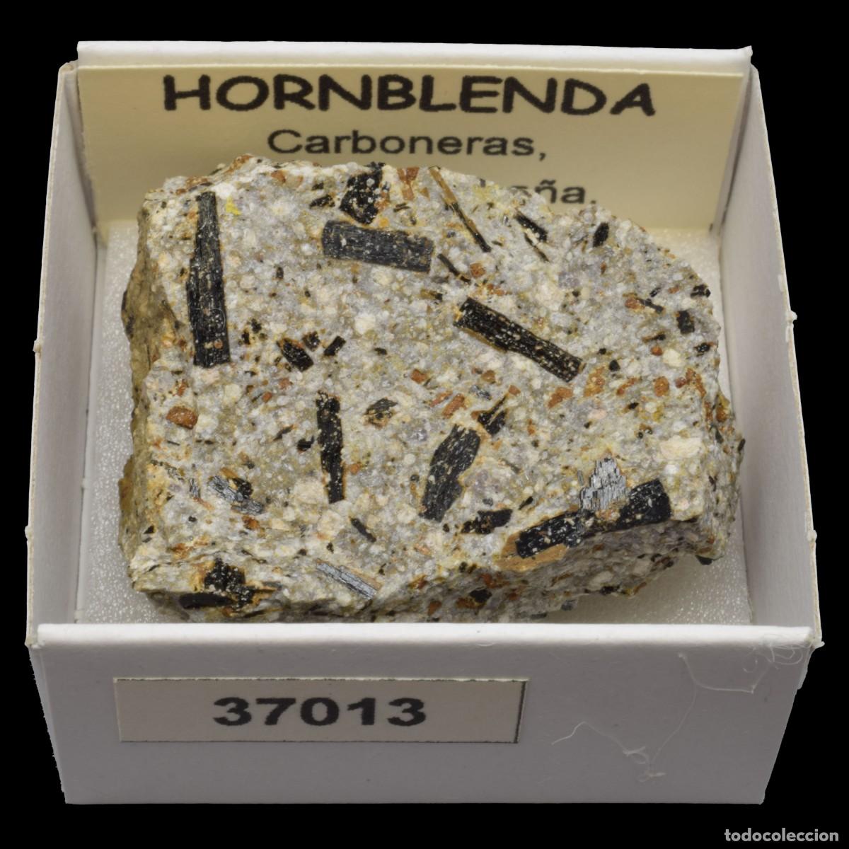 Coleccionismo de minerales: HORNBLENDA (Carboneras, Almeria, Espa&ntilde;a) #37013