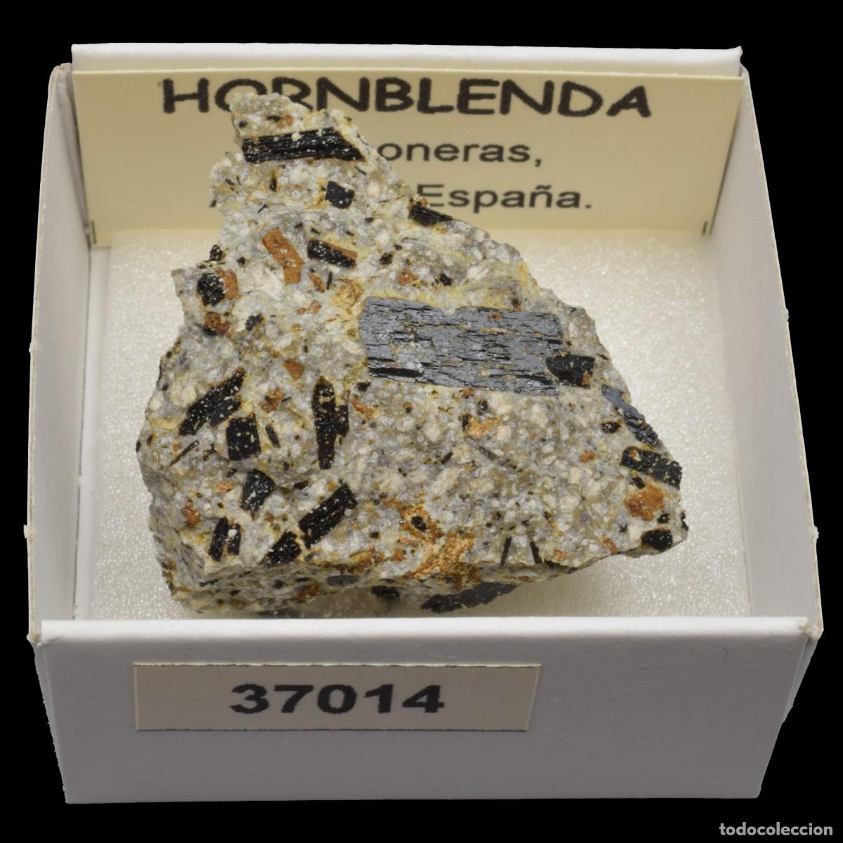 Coleccionismo de minerales: HORNBLENDA (Carboneras, Almeria, Espa&ntilde;a) #37014