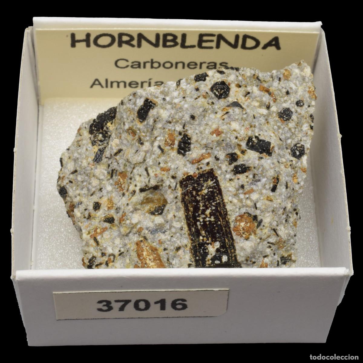 Coleccionismo de minerales: HORNBLENDA (Carboneras, Almeria, Espa&ntilde;a) #37016