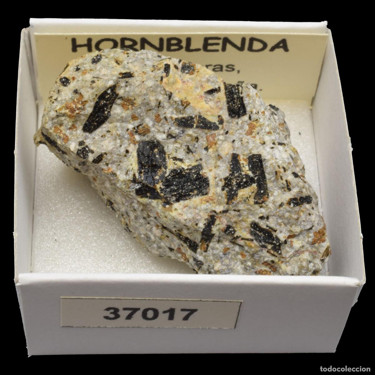 Coleccionismo de minerales: HORNBLENDA (Carboneras, Almeria, Espa&ntilde;a) #37017