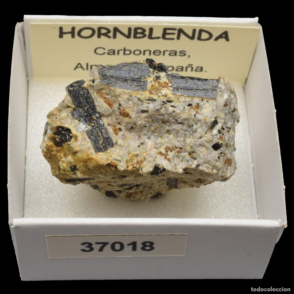 Coleccionismo de minerales: HORNBLENDA (Carboneras, Almeria, Espa&ntilde;a) #37018
