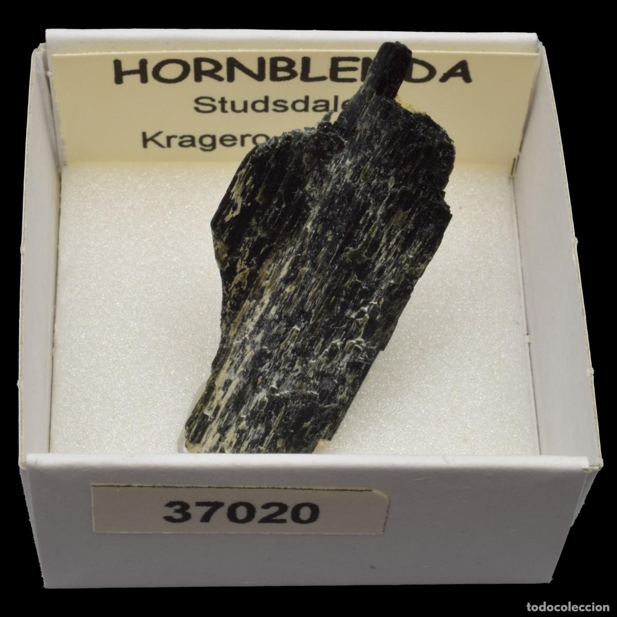 Coleccionismo de minerales: HORNBLENDA (Studsdalen, Kragero, Noruega) #37020