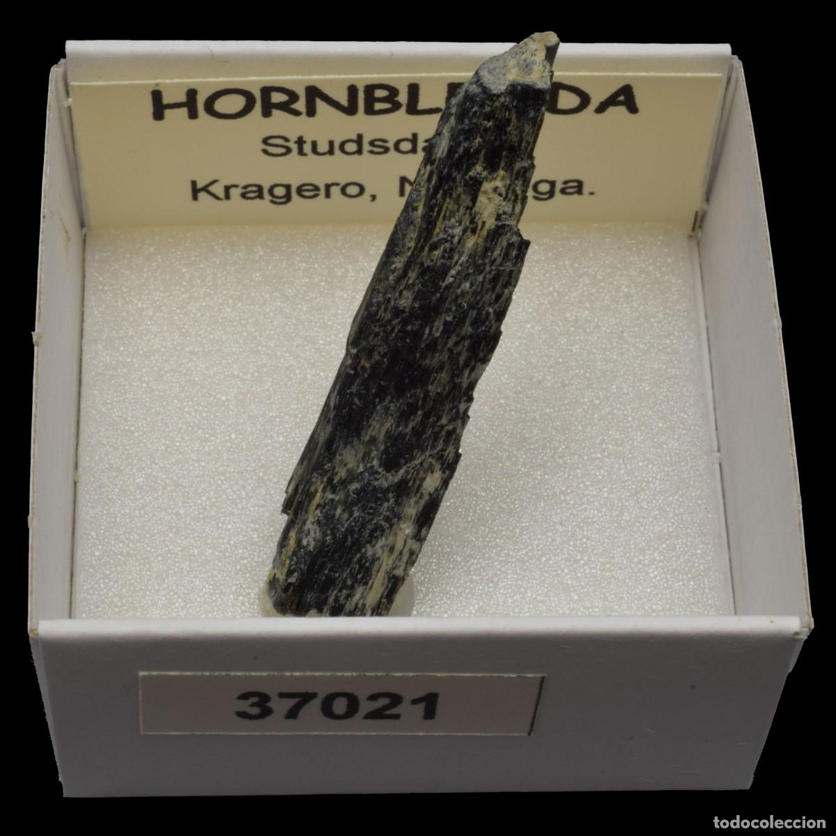 Coleccionismo de minerales: HORNBLENDA (Studsdalen, Kragero, Noruega) #37021