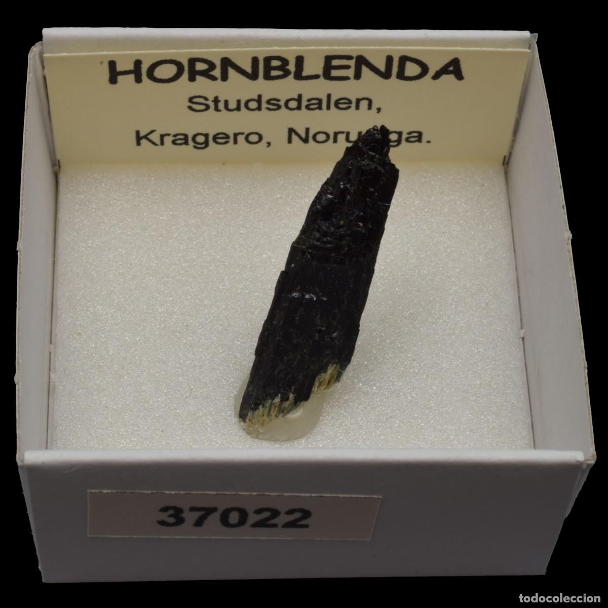 Coleccionismo de minerales: HORNBLENDA (Studsdalen, Kragero, Noruega) #37022