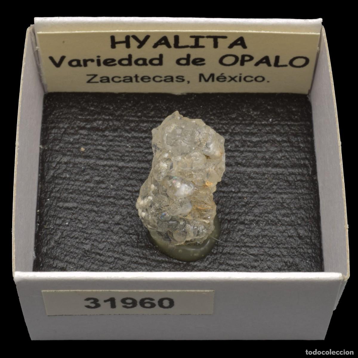 Coleccionismo de minerales: HYALITA (Zacatecas, Mexico) #31960
