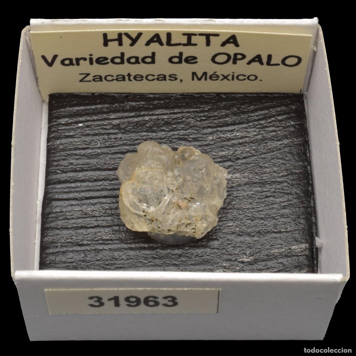 Coleccionismo de minerales: HYALITA (Zacatecas, Mexico) #31963
