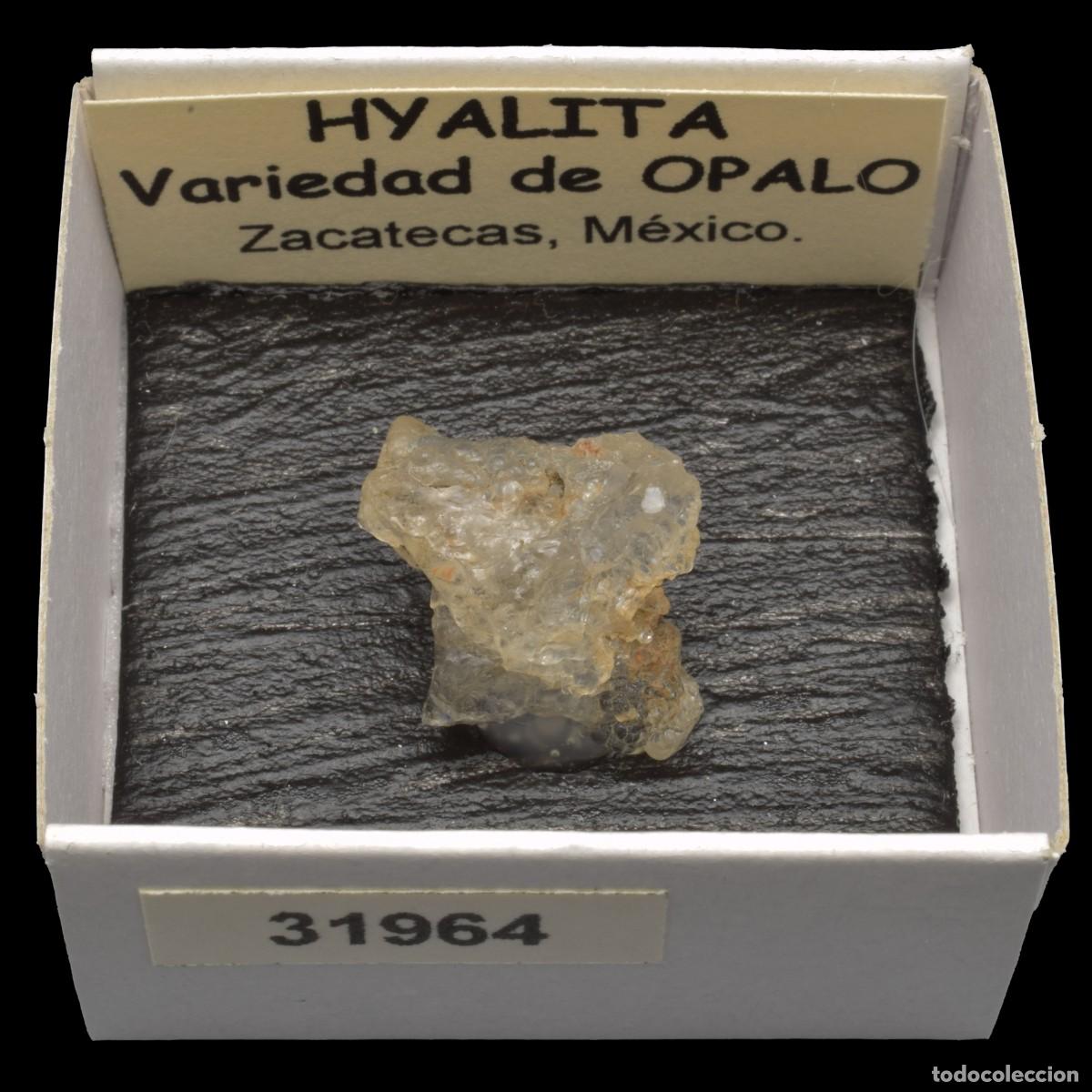 Coleccionismo de minerales: HYALITA (Zacatecas, Mexico) #31964