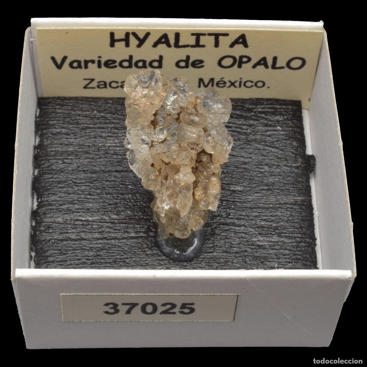 Coleccionismo de minerales: HYALITA (Zacatecas, Mexico) #37025