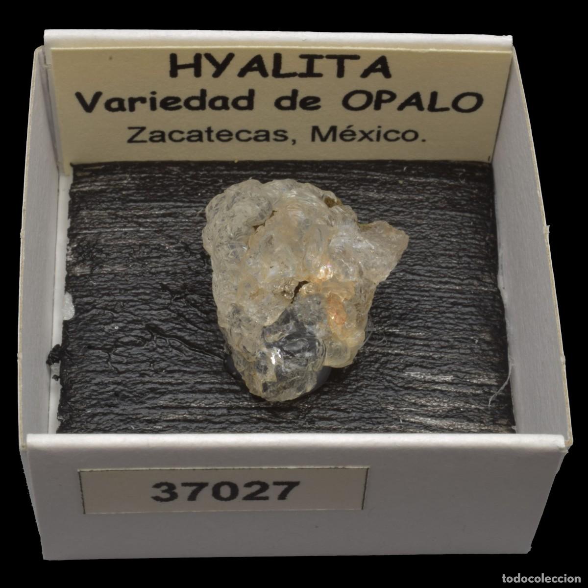 Coleccionismo de minerales: HYALITA (Zacatecas, Mexico) #37027