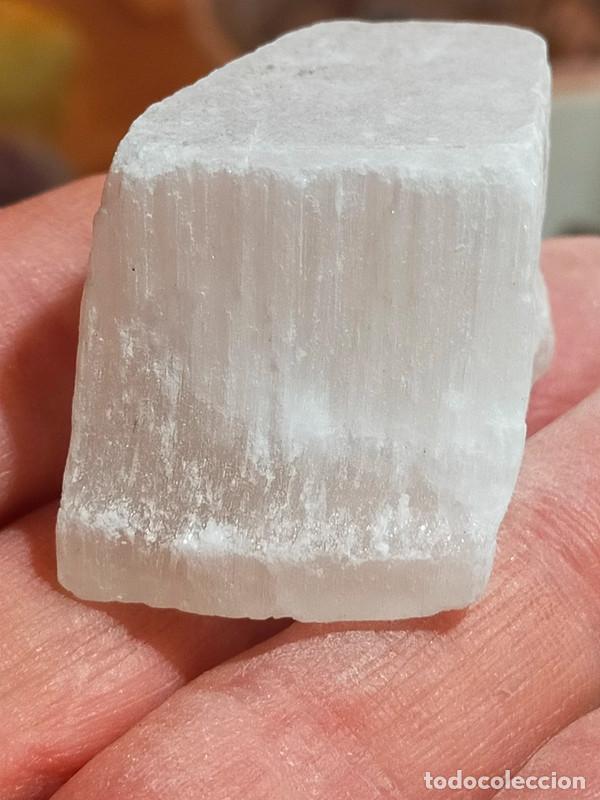 Coleccionismo de minerales: Selenite grezza (variet&agrave; Sericolite) - Foto 2