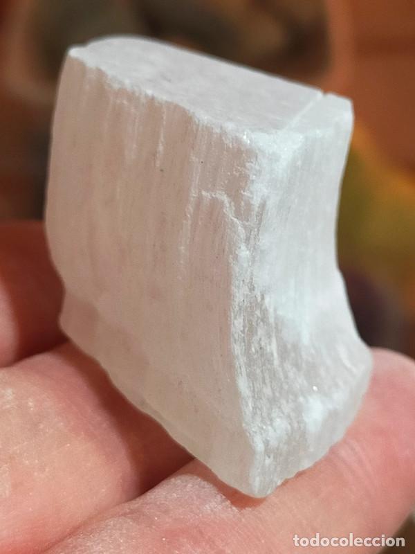 Coleccionismo de minerales: Selenite grezza (variet&agrave; Sericolite) - Foto 3